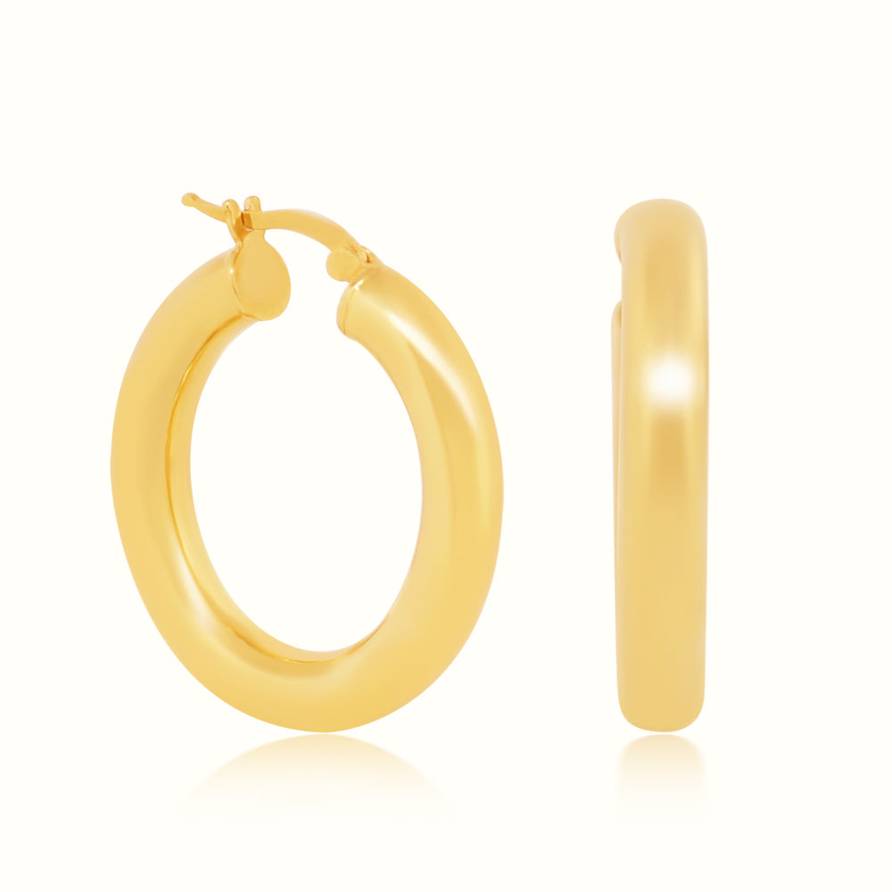 The Larissa Hoops